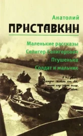Маленькие рассказы, Селигер Селигерович, Птушенька, Солдат и мальчик. Том 1 | Анатолий Приставкин